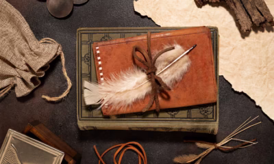 Annas Archive: Unearthing Stories from the Past