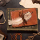Annas Archive: Unearthing Stories from the Past