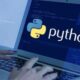 Python Development Agency