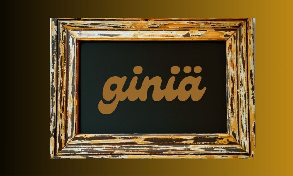 Giniä: Unpacking the Mystery of This Unique Concept