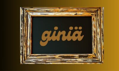 Giniä: Unpacking the Mystery of This Unique Concept