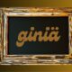 Giniä: Unpacking the Mystery of This Unique Concept
