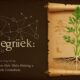 foenegriek: The Ancient Herb Making a Modern Comeback