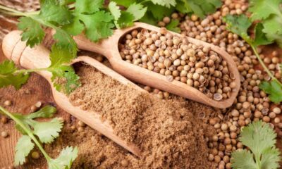 Felixing: Crafting Unique Creations from Everyday Items