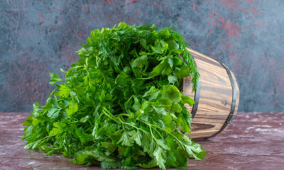 Pravi Celer: A Superfood for Your Health