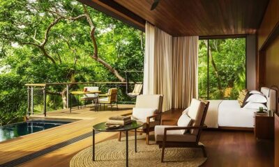 Newtopy: Blending Nature and Technology for a Harmonious Lifestyle