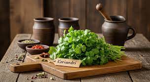 Koriandri: The Culinary Herb You Didn't Know You Needed
