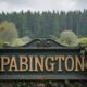 Pabington: A Local's Perspective on the Community