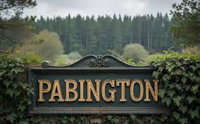 Pabington: A Local's Perspective on the Community