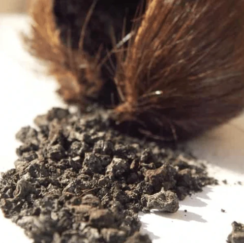 Musk: The Shift from Natural to Synthetic Compounds