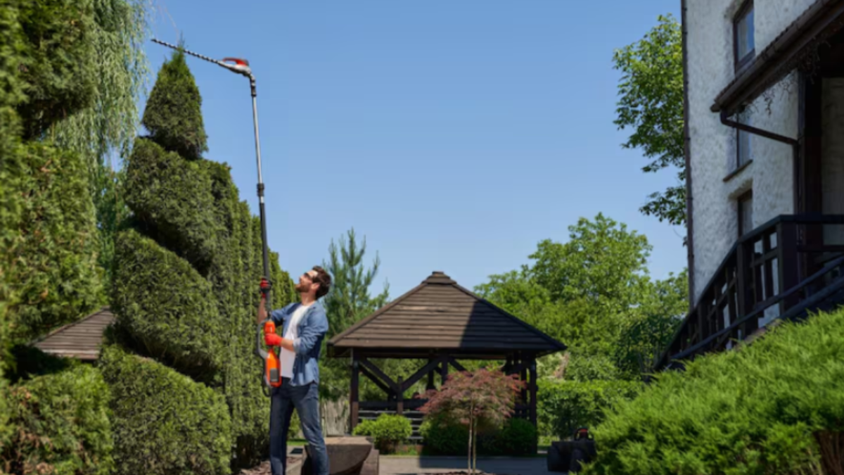 Commercial Properties