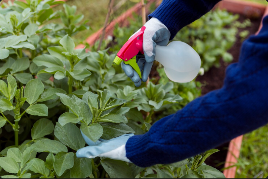 Friendly Fertilization
