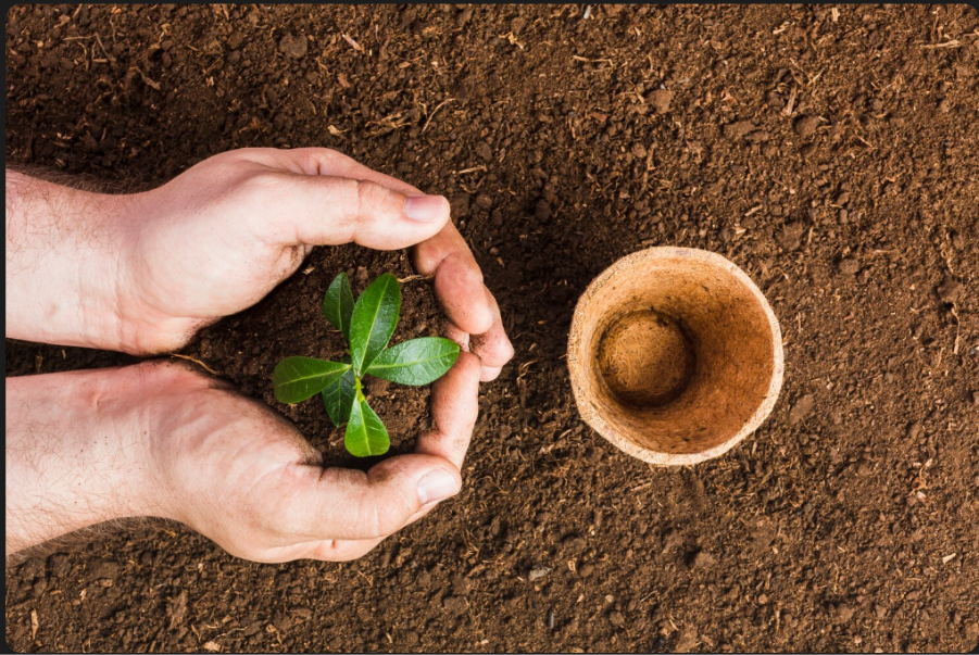 Friendly Fertilization