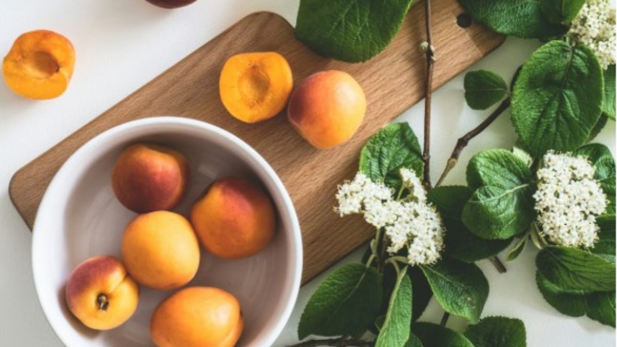 Daily Nutrition Habits