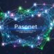 Pasonet: How Users Are Transforming Their Connections