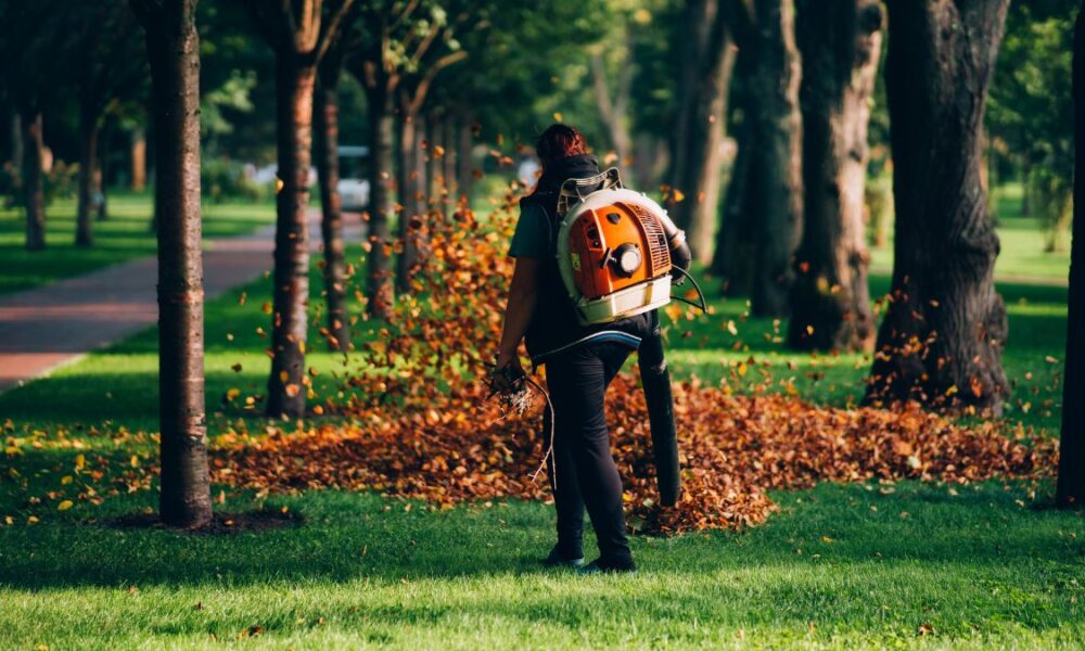 Brush Removal Services