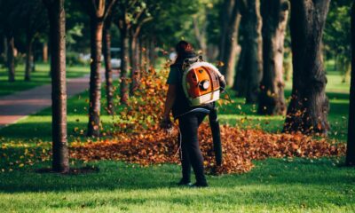 Brush Removal Services