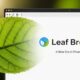 Leaf Browser: A New Era in Privacy and Speed