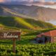 Nikane Madeira: The Hidden Gem of Portugal's Wine Region