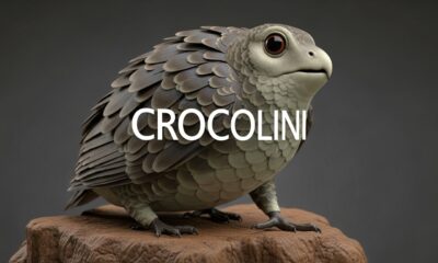 Crocolini: The Charming Little Creature You Didn't Know About