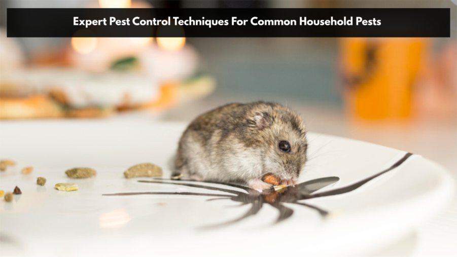 Pest Control