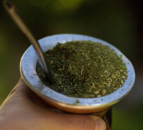 Plant-Derived Products