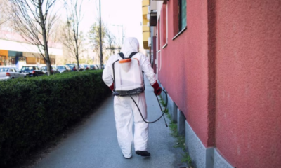 Seasonal Infestations