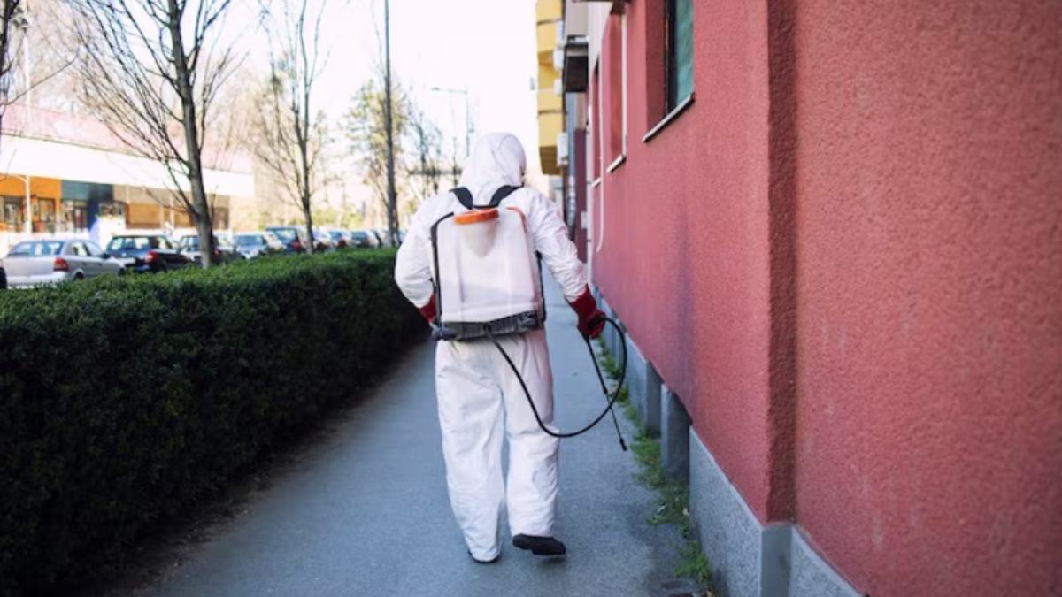 Seasonal Infestations