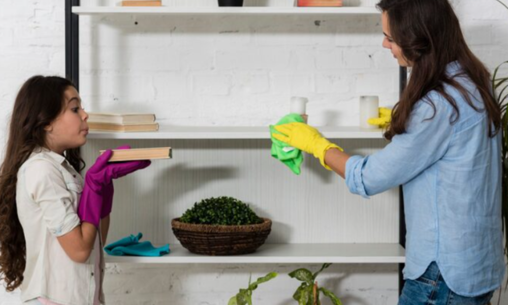 House Cleaning Services