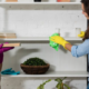 House Cleaning Services