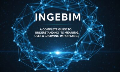 Ingebim: Understanding Its Meaning, Uses, and Growing Importance