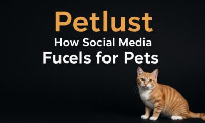 Petlust: How Social Media Fuels Our Love for Pets