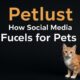 Petlust: How Social Media Fuels Our Love for Pets