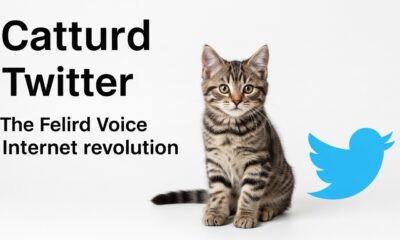 Catturd Twitter: The Feline Voice of the Internet Revolution