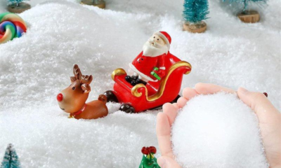 Artificial Snow vs Fake Snow
