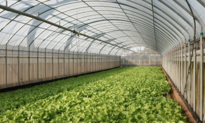 Greenhouse Systems