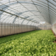 Greenhouse Systems