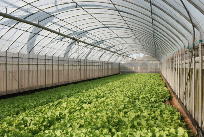 Greenhouse Systems