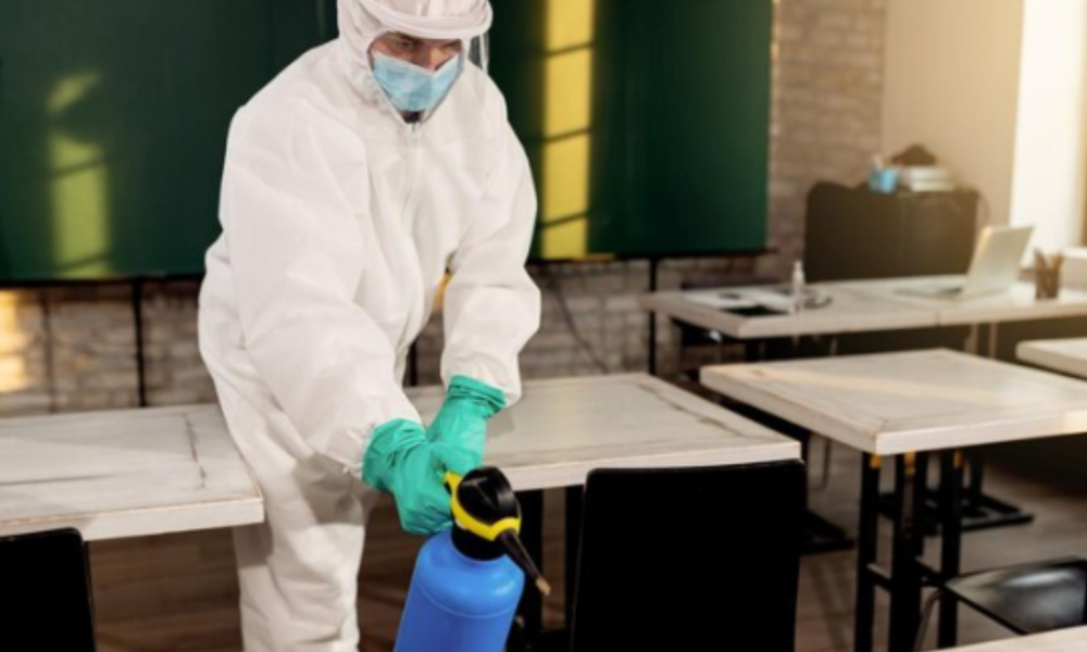 Hiring an Exterminator