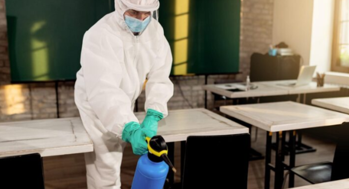 Hiring an Exterminator