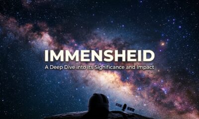 Immensheid: A Deep Dive into Its Significance and Impact