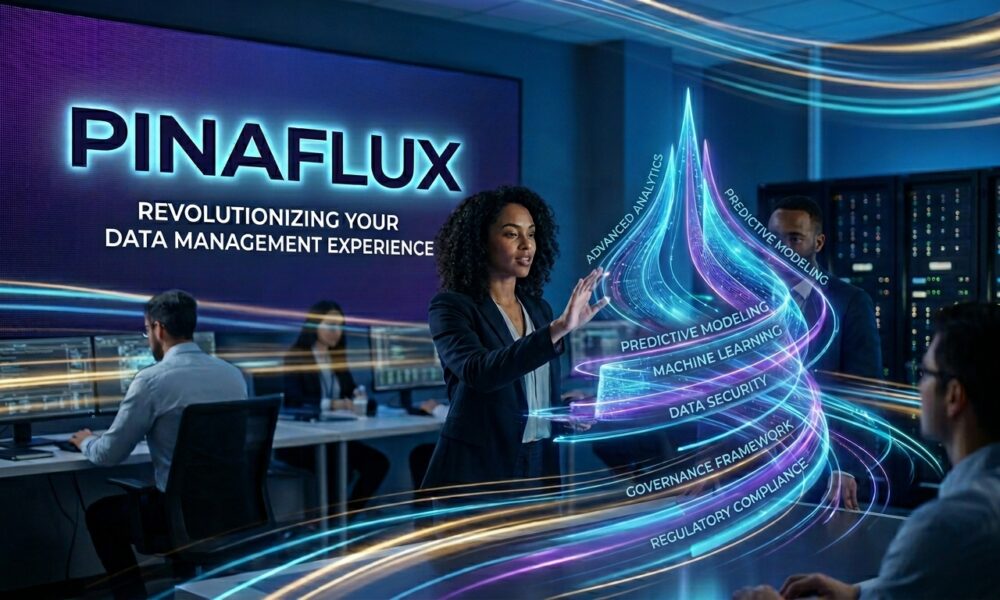 Pinaflux: Revolutionizing Your Data Management Experience