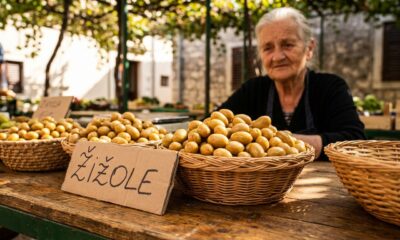 Žižole: How to Experience Authenticity Responsibly