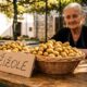 Žižole: How to Experience Authenticity Responsibly