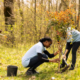 urban tree care