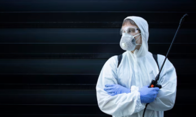 Hiring an Exterminator
