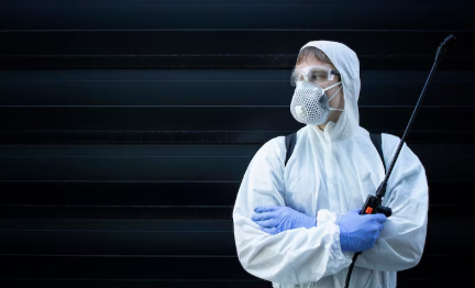 Hiring an Exterminator