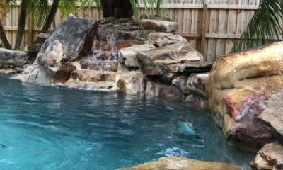 Pool Renovation