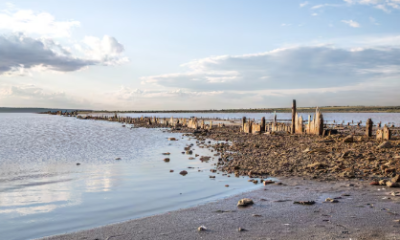 Shoreline Erosion Control