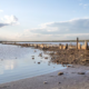 Shoreline Erosion Control